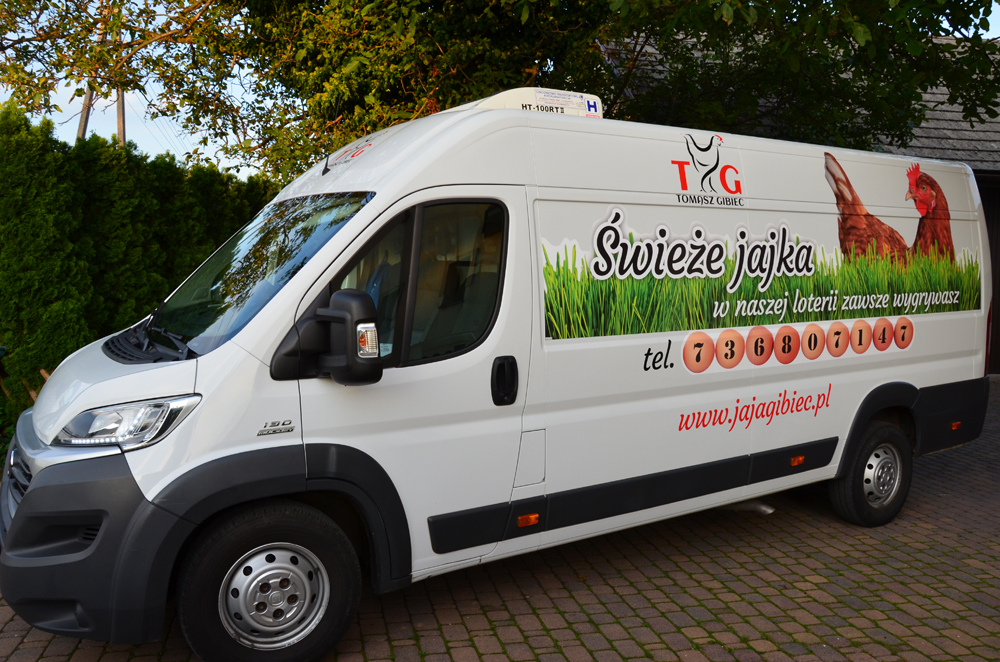 Sprzedaż jaj - Tomasz Gibiec